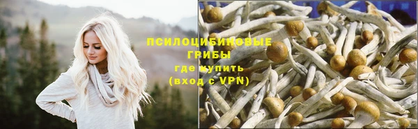гидропоника Карталы