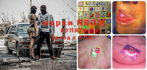 гидропоника Карталы