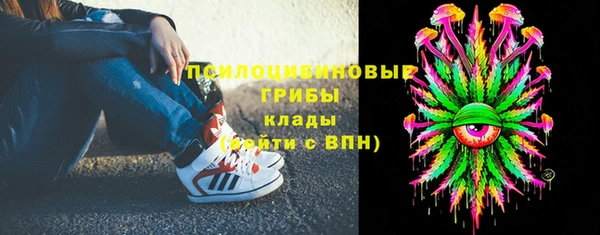 гидропоника Карталы