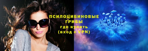 бошки Карпинск