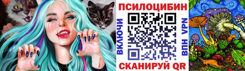 закладки  Сегежа  Галлюциногенные грибы Cubensis 