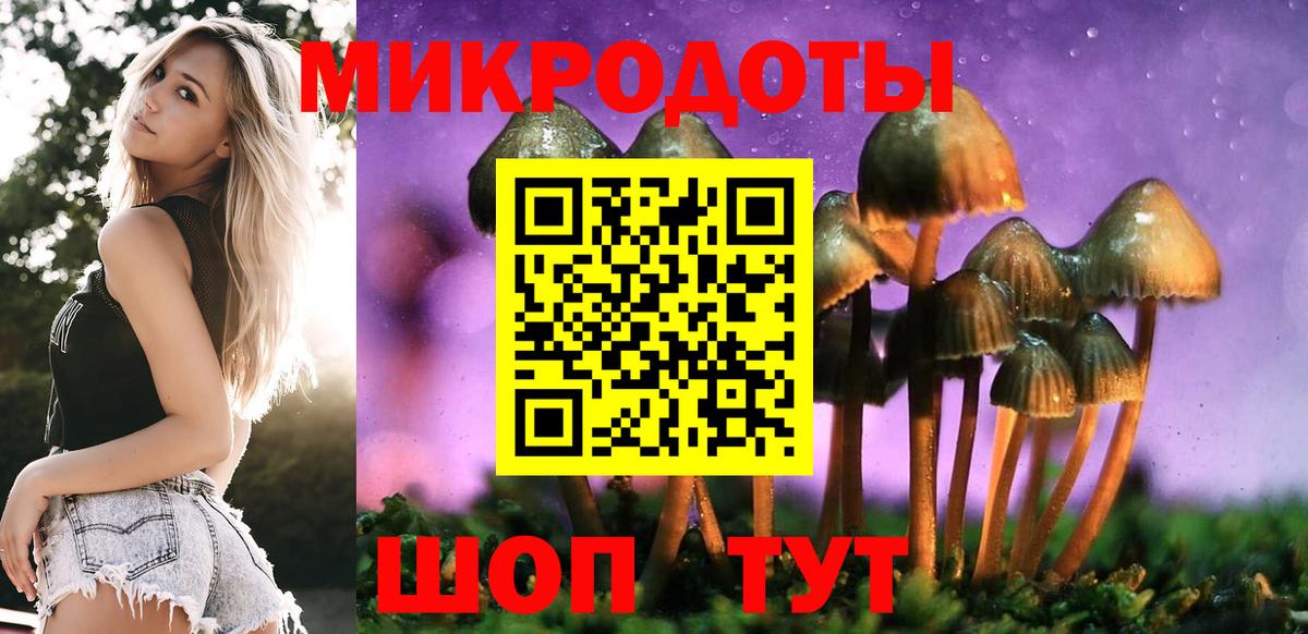 Галлюциногенные грибы MAGIC MUSHROOMS Сегежа