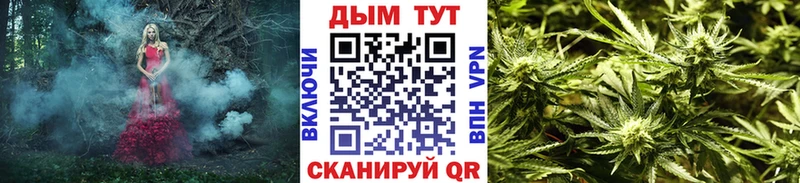 Канабис SATIVA & INDICA Сегежа
